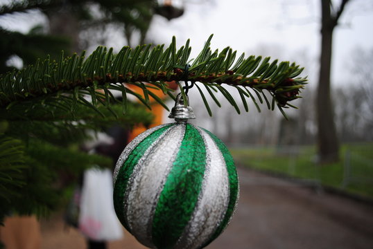 Christbaumkugel Auf Tannenbaum