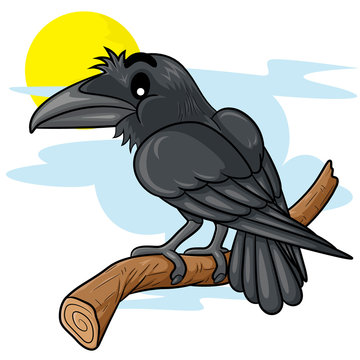 Raven Cartoon
Illustration of cute cartoon raven.