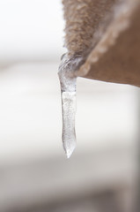 Ice is Hanging in There