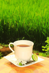 Tea and nature 3