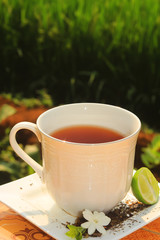 Tea and nature 2