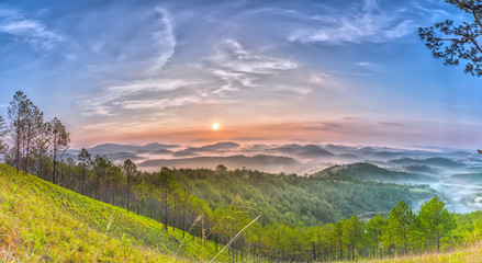 Panoramic sun rises above pine forests as the sun rises, clouds will gradually fade out gradually to vast green pine forests on the high hills greet the new day