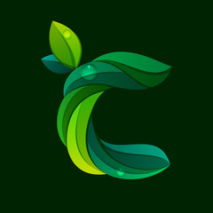 C letter logo formed by green leaves.