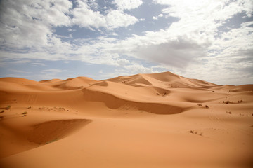 Fototapeta na wymiar The Sahara9