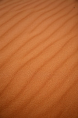 The Sahara3