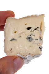 Morceau de fromage persillé en main