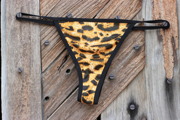 Sexy expensive Lingerie on old broken door background.