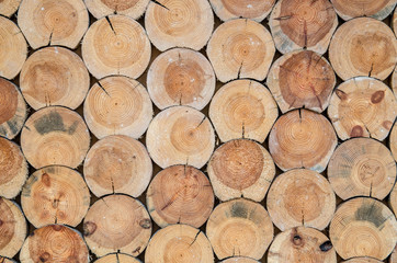 Cut dry wood as background or texture