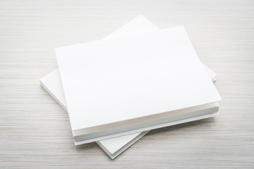 Blank white mock up book