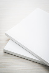 Blank white mock up book
