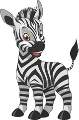Cute funny zebra © Andrey1005