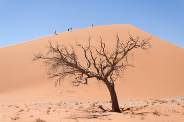 Fototapeta na wymiar Tourists climb Dune No.45 in the Sossusvlei, Namibia