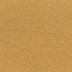 Texture is light sea beach sand.