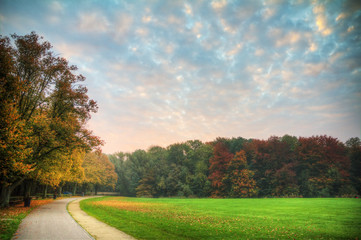 Autumn trees early in the morning in het Amsterdamse bos (Amsterdam wood) in the Netherlands. HDR