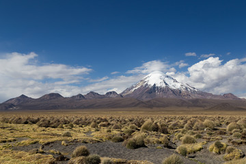 Fototapeta premium Sajama National Park