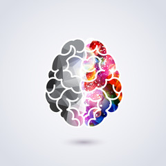 Left and right part of brain