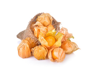 Cape Gooseberry on white background