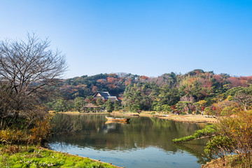 Fototapeta premium 横浜 三渓園