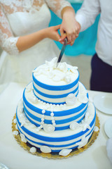 Wedding Cake in Marine Style