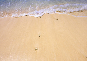 Wave lapping on tropical sandy beach