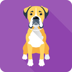 dog Boxer icon flat design 