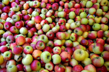 Viele Äpfel
