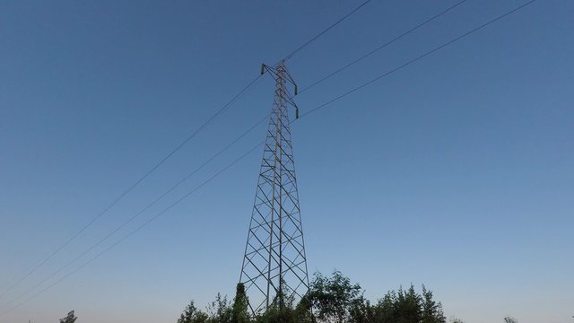 High voltage electricity poles, trees