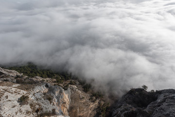 Nebelschwaden - Fog draws over a mountain slope through the forest.