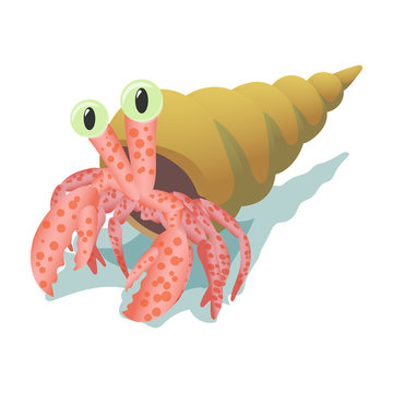 Crab in shell cartoon icon