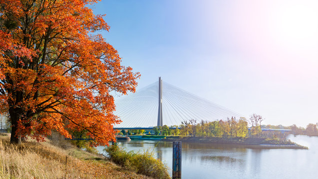 Redzinski bridge, Wroclaw, Poland