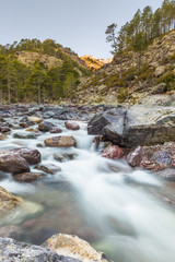 Fototapeta na wymiar Fast flowing Asco river in Corsica