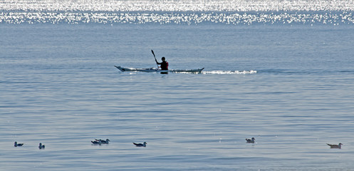 Kayaking in sea in summer