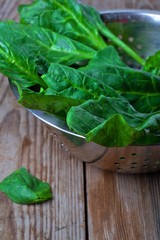 fresh green spinach