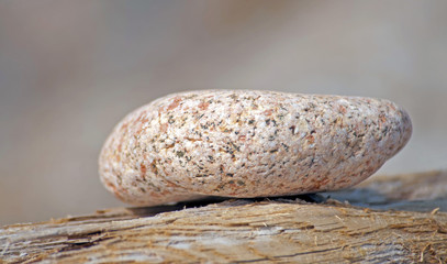 Stone on a trunk in sunlight