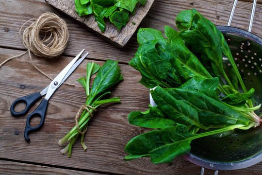 fresh green spinach