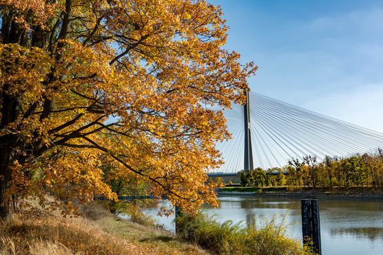 Redzinski bridge, Wroclaw, Poland