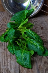 fresh green spinach