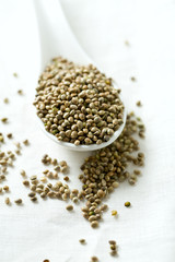 hemp seeds on wooden surface