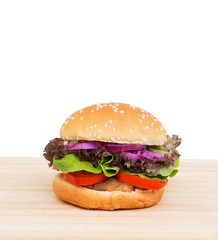 Ham burger isolated
