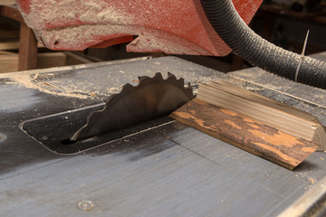 Carpentry and Joinery, 