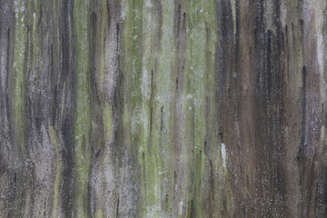 Masonry walls are dirty from mud flowing down it backgroung