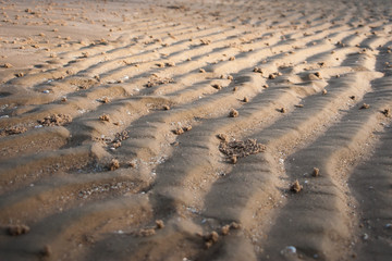 Sand Curve Texture