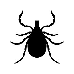 Tick parasite. Sketch of Tick. Mite. Tick isolated on white background. Tick Design for coloring book