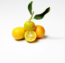 kumquat