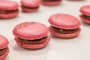 Pink macaroons with chocolate ganache