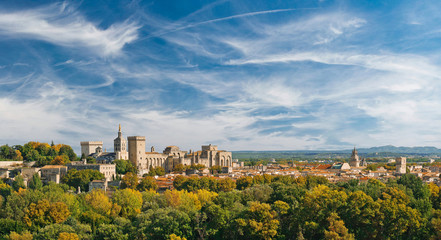 Wide panoramic view of old town and Papal palace in Avignon - obrazy, fototapety, plakaty