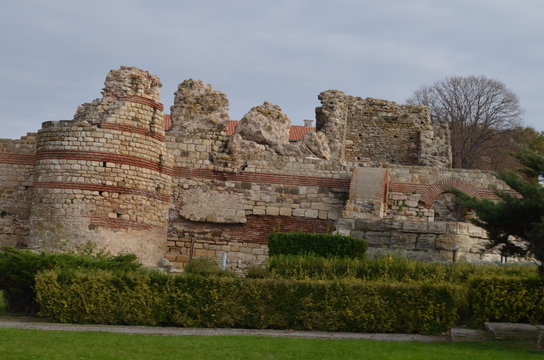 Mesembria 이미지 찾아보기 655 스톡 사진, 벡터 및 비디오 Adobe Stock