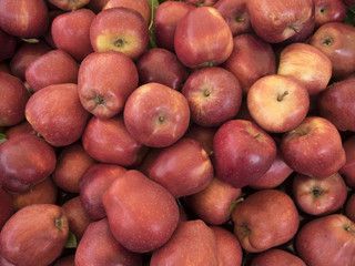 Red apples background
