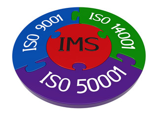 Integrated management system