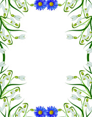 Obraz premium spring flowers snowdrops isolated on white background